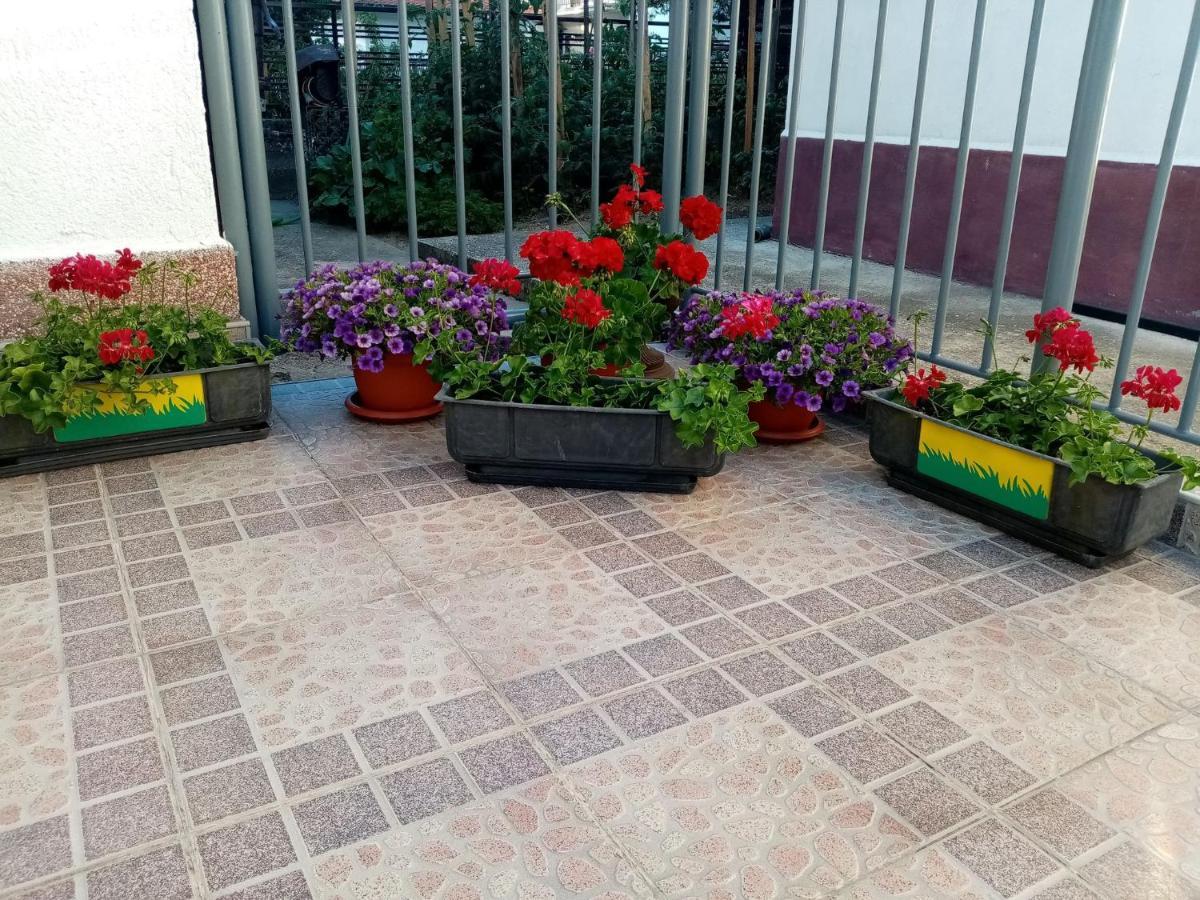 Apartment Elmari Πρίλεπ Εξωτερικό φωτογραφία